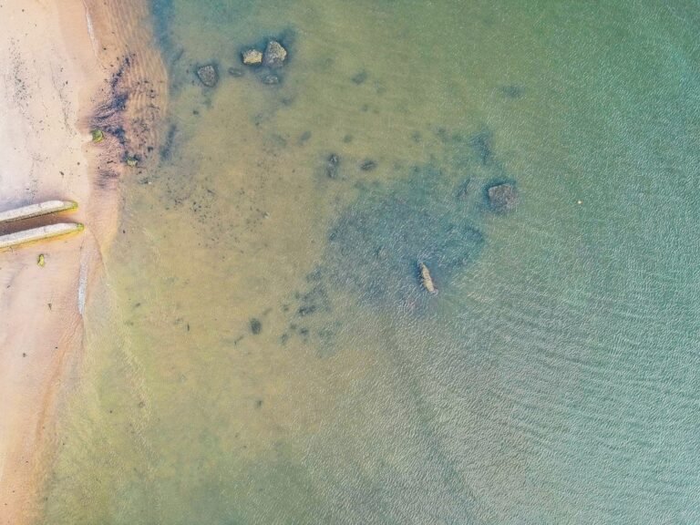 Vista aérea da faixa de areia, rochas e água do mar em Caraguatatuba
