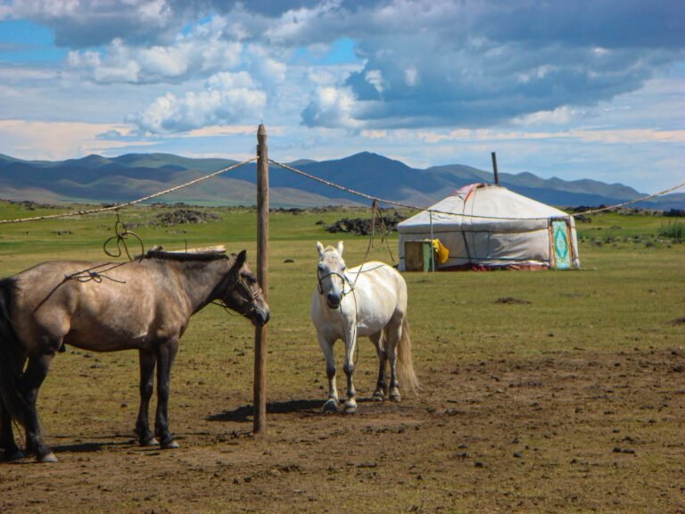 Cavalos diante de uma tenda ger na estepe da Mongólia